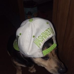 Meet your Posher, Seth